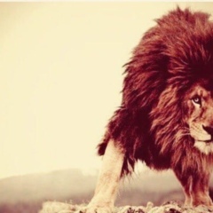 Юсиф Юсиф, 24.06, Троицк