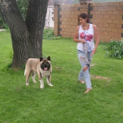 Елена , 25.04, Новосибирск