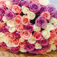 Фатима Бислимова, Махачкала