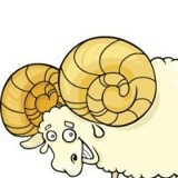 Антон Чарторийский, 07.04.1985, Минск