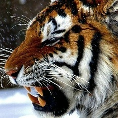 Ираклий Стефаниди, 05.05, Heraklion