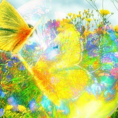 Darya Perova, 04.05, Алматы