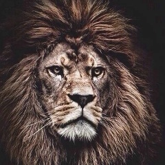 Тигран Акопян, 31.12, Москва