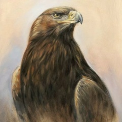 Сергей Коршунов, 26.04.1983, Санкт-Петербург