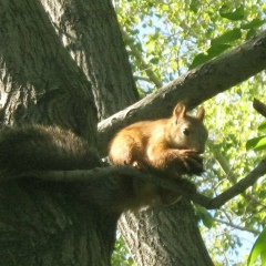 Алексей Богданов, 14.12.1978