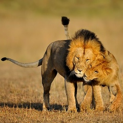 Станислав Потапенко, 24.04.1989