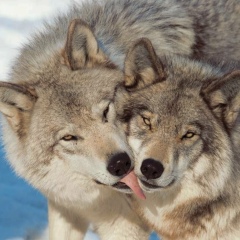 Анна Васильева, 23.02.1983, Москва