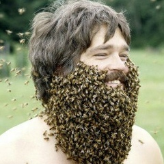 Константин Трегубенко, 28.04.2008