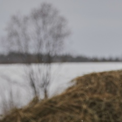 Макс Ребров, 23.01.1988, Санкт-Петербург