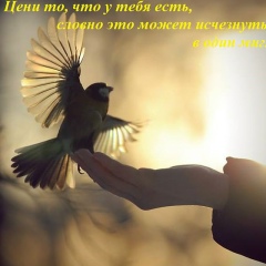 Теймур Байрамлы, 10.05, Санкт-Петербург