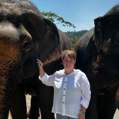 Анастасия Суетина, 01.03.1986, Новосибирск