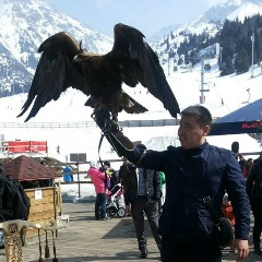 Айбек Карсыбаев, 30.08.1988, Шымкент