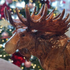 Антон Амбражей, 05.07.1972, Санкт-Петербург