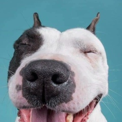 Lynn Daddy, 04.08.2002