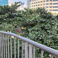 Светлана П, 19.05, Москва