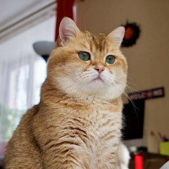 Екатерина Дубинец, 19.12, Волгоград