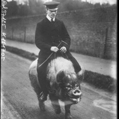 Александр Фадеев, 14.06.1985, Санкт-Петербург