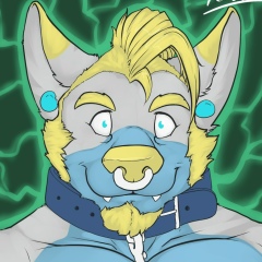 Ронан Ронсо, Екатеринбург