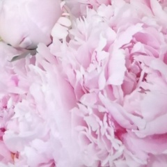 Ольга Вилкова, 01.11, Казань