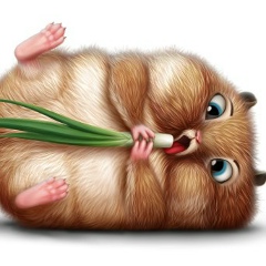 Баира Гушаева, 10.03, Санкт-Петербург