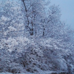 Игорь Семенков, 19.11, Алушта