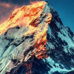 Дмитрий Минеев, 12.03, Москва