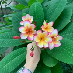 Валерия Жмакина, 06.06, Алматы