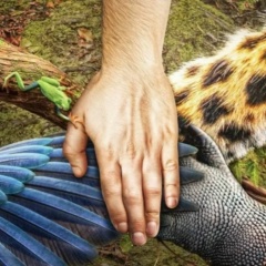 Ani Tsirk, 05.04, Paris