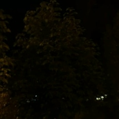 Альфия Джунусбаева, 05.06, Санкт-Петербург