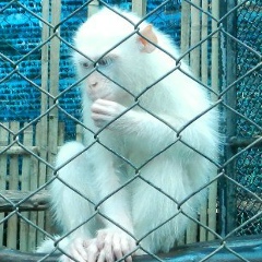 Анастасия Носова, 06.10, Алматы