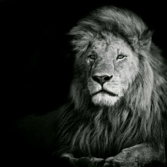 Тамерлан Саидалиев, 13.02, Дагестанские Огни