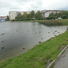 Арсен Егиазарян, 30.08.1992, Тюмень