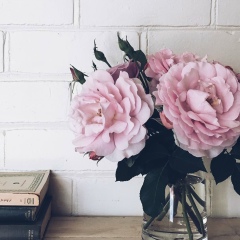 Айсулу Джолдасбаева, 12.07.1998, Ташкент