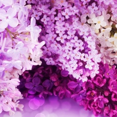 Актоты Тржанова, 02.03.1982, Актобе