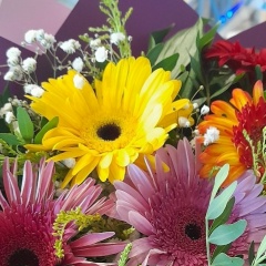 Катарина Знания, 14.08, Санкт-Петербург