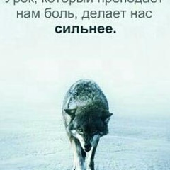 Куштар Акунов, 01.02.1999