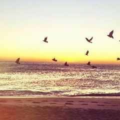 Liana Madatyan, Ереван