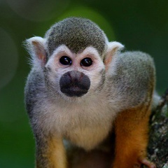 Игорь Алексеев, 14.08.1993, Краснодар