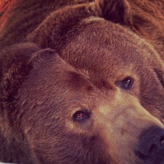 Аслан Курмашев, 27.12.1983, Алматы