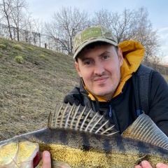 Никита Сергеевич, Орёл