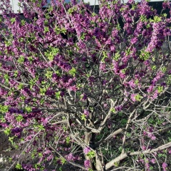 Светлана Бердникова, 27.02, Санкт-Петербург