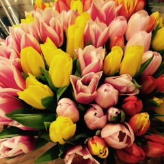 Мария Одуденко, 16.02