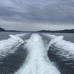 Алёна Феясюк, 21.02, Винница