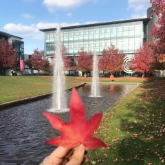 Назгул Байсалбаева, 23.05.1992, Актау