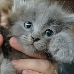 Nadya Vin, 03.02, Славянск-на-Кубани