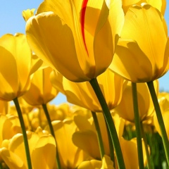 Марина Герасимчук, 01.01, Москва