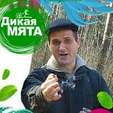 Александр Горшков, 05.04.1979, Брянск