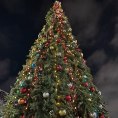 Екатерина Сабанина, 31.01.1992, Санкт-Петербург