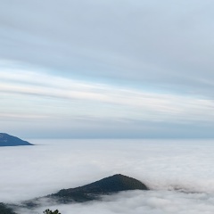 Олег Панасюк, Санкт-Петербург