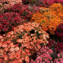 Перизат Исахова